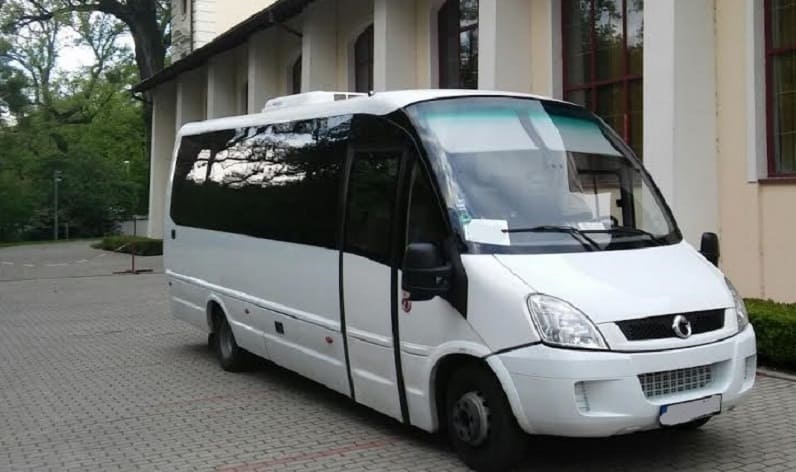 Bus order in Oradea