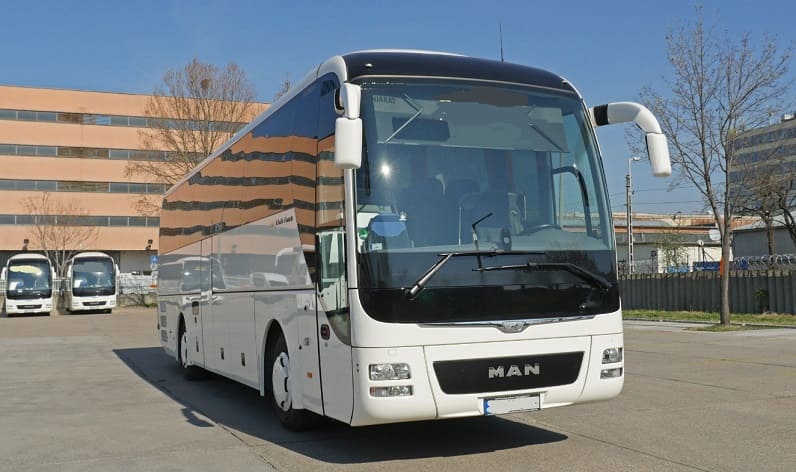 Buses operator in Törökszentmiklós